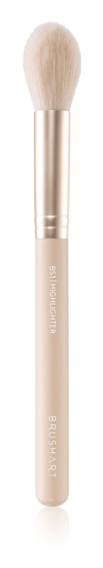 BrushArt Everyday Collection highlighter brush