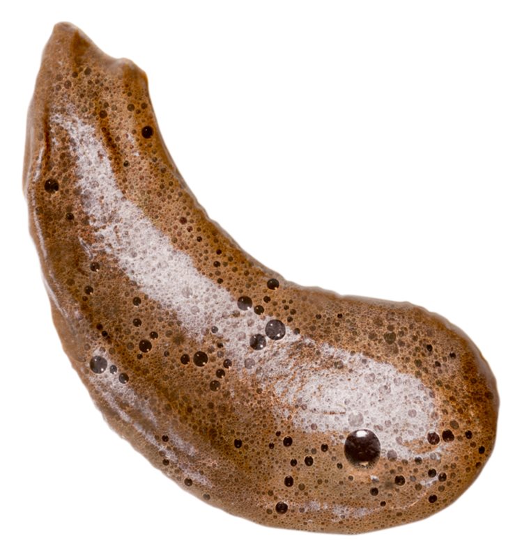 Coco & Eve Sunny Honey Bali Bronzing Foam Medium 200 ml