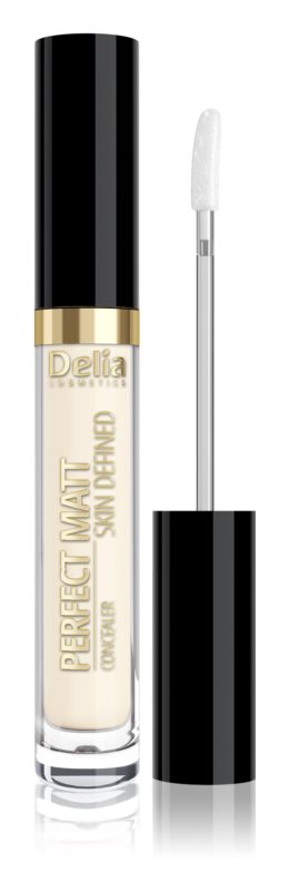 Delia Cosmetics Perfect Matt Skin Defined liquid concealer 2.5 ml