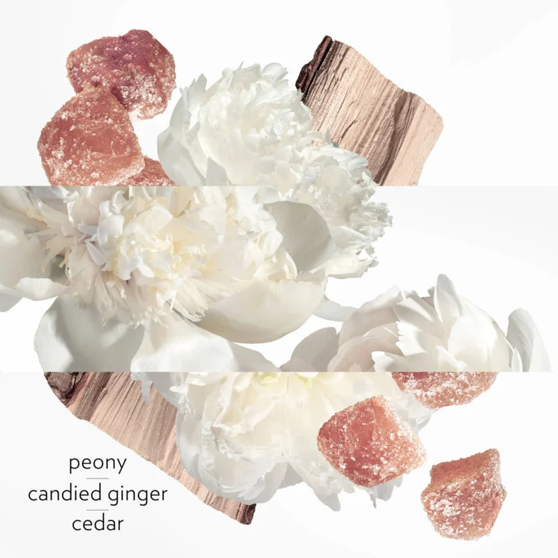 HERMÈS Twilly d'Hermès Eau Ginger Eau de Parfum for women