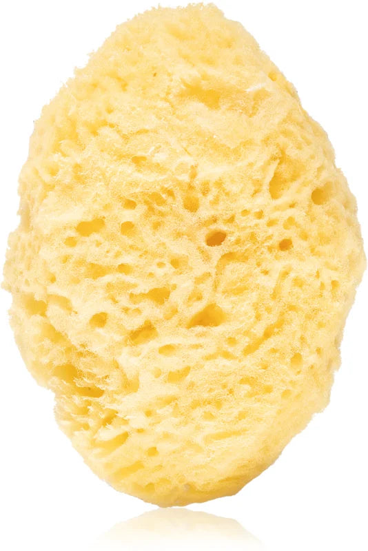 Huygens Small Ultra-Soft Sea Sponge