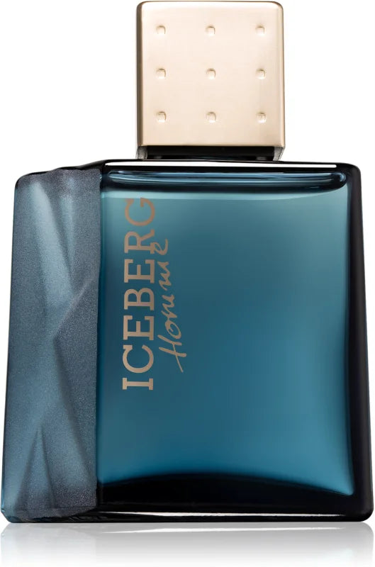 Iceberg Homme eau de toilette for men