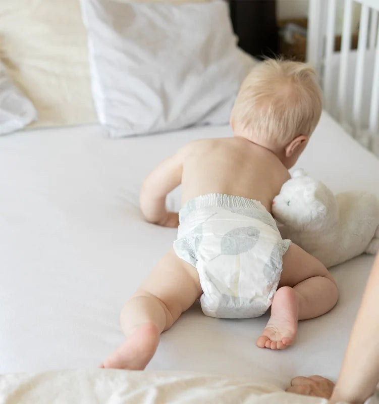 Kolorky Day Nature Bamboo Leaves disposable ECO diapers