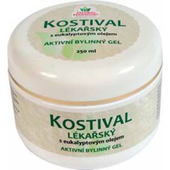 Herbal Harmony Comfrey medical herbal gel 250 ml