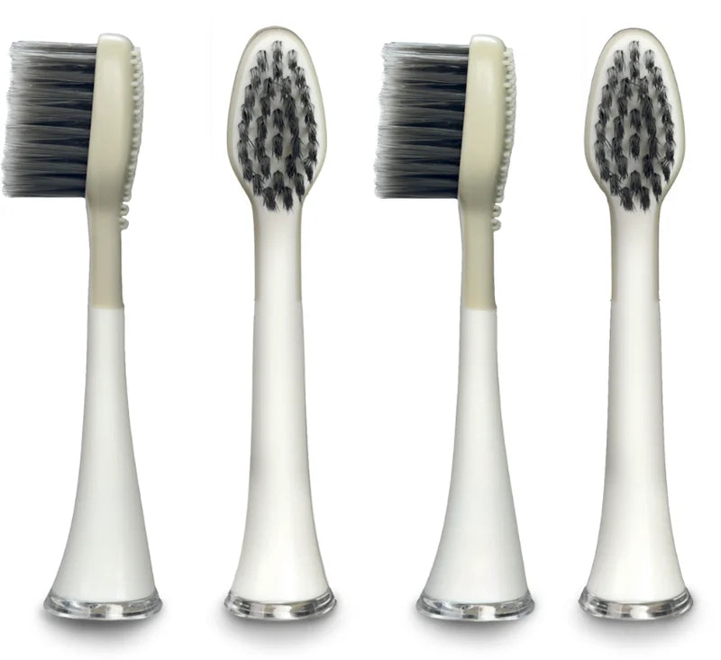 Magnitudal MagniCarbon MQ664 replacement brush head 4-pack