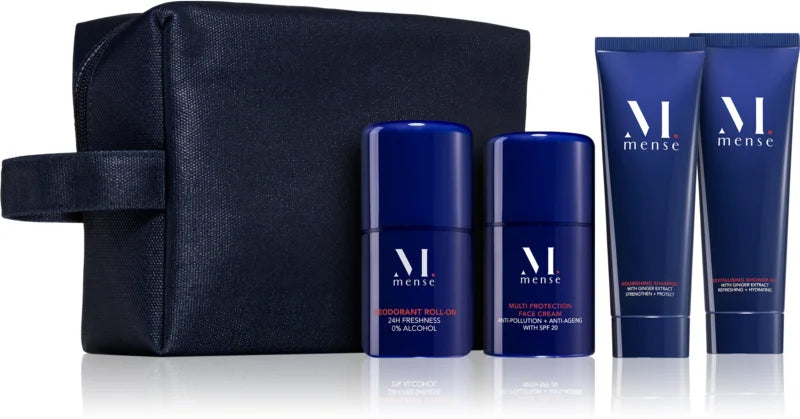 Mense Travel Set Essential Kit For men