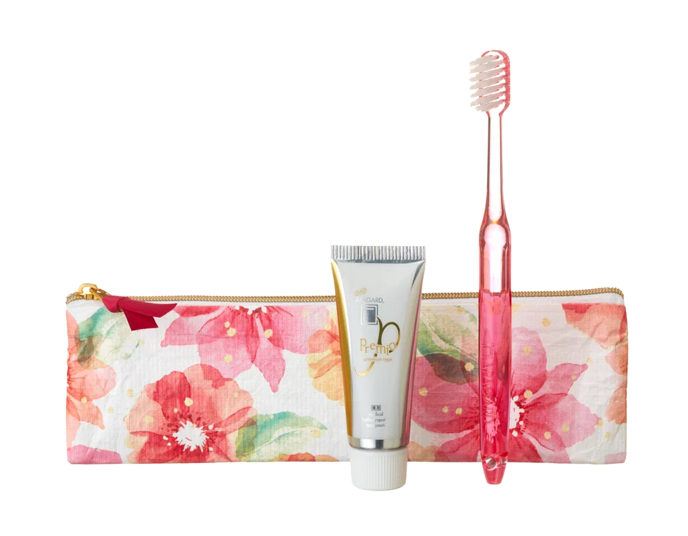 APAGARD Premio dental set with travel bag